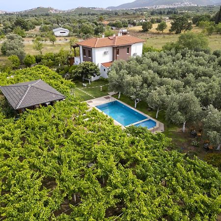 Готель Grape Datca Kizlan Екстер'єр фото